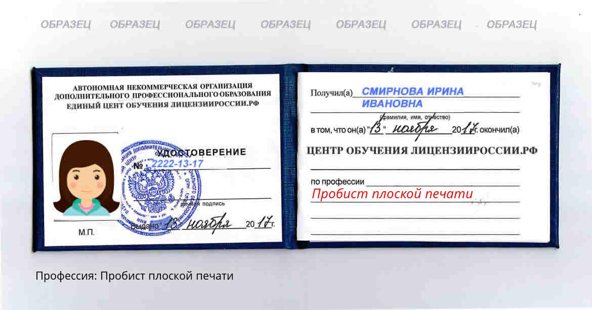 Пробист плоской печати Муравленко